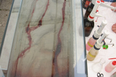 img_9598-makieta-dna