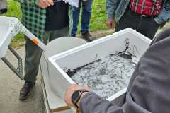 WhatsApp-Image-2026-04-21-at-11.47.31