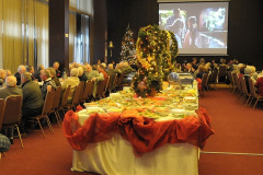 projekcja-kratkiego-filmu-o-akwarium-gdyaskim