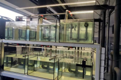 WhatsApp-Image-2025-11-06-at-14.07.51