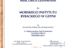 dyplom