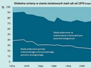 Konsumpcja ryb i owoców morza rośnie szybciej niż światowa populacja – raport FAO (Food and Agriculture Organization) z lipca 2016