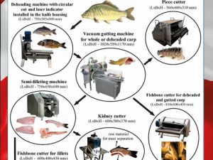 Silver medal for NMFRI at the International Exhibition of Technical Innovation, Patents  and Inventions "Invent Arena 2016" in the Czech Republic