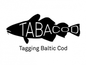 Launch of the project TABACOD – Tagging Baltic Cod