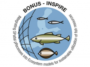 Flounder workshop at the NMFRI within the BONUS INSPIRE project