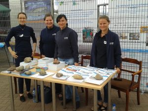 Promotion of the SeaQual project during 2nd District Sea Days in Władysławowo