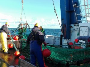 Another cruise of tagging Baltic cod completed