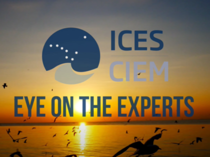 Meet ourearly career scientists who are members of ICES expert groups and find out what they do!