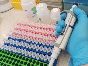 DNA wanderings at the Department of Fisheries Resources – Lab 819