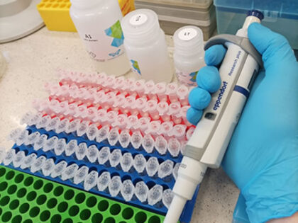 Wędrówki DNA w Zakładzie Zasobów Rybackich, czyli laboratorium 819