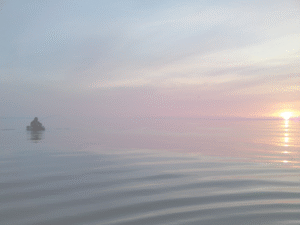 Ankieta wędkarska – dotyczy połowów w roku 2024